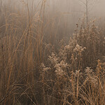 Where the Ground Disappears