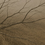 Holding Ground