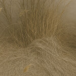 Soft Ground